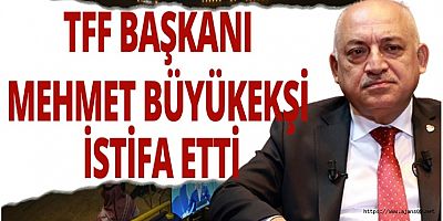 TFF Başkanı Mehmet Büyükekşi istifa etti