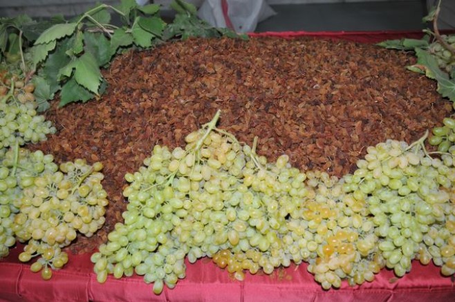 Türkiye kuru üzüm ihracatında 500 milyon doları aşmayı hedefliyor