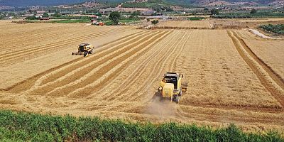 HANGİ TARIM ARAZİLERİ KİRAYA VERİLECEK?