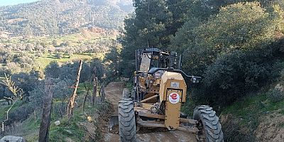 Efeler Belediyesi'nden zeytin üreticilerine destek